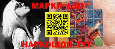 гидропоника Донской