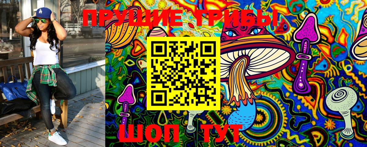 Нарткала  Псилоцибиновые грибы мицелий  Псилоцибиновые грибы Magic Shrooms  Вход с VPN 